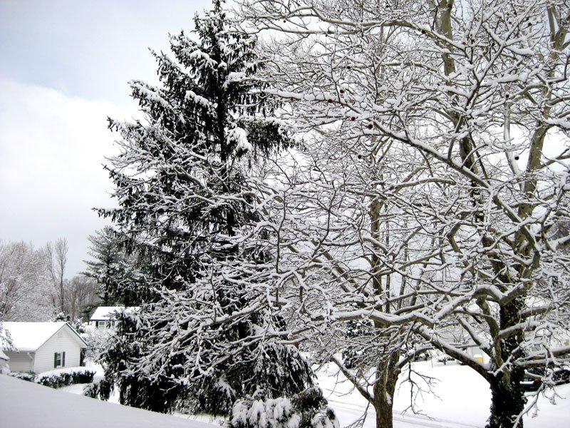 [snow-day2.jpg]