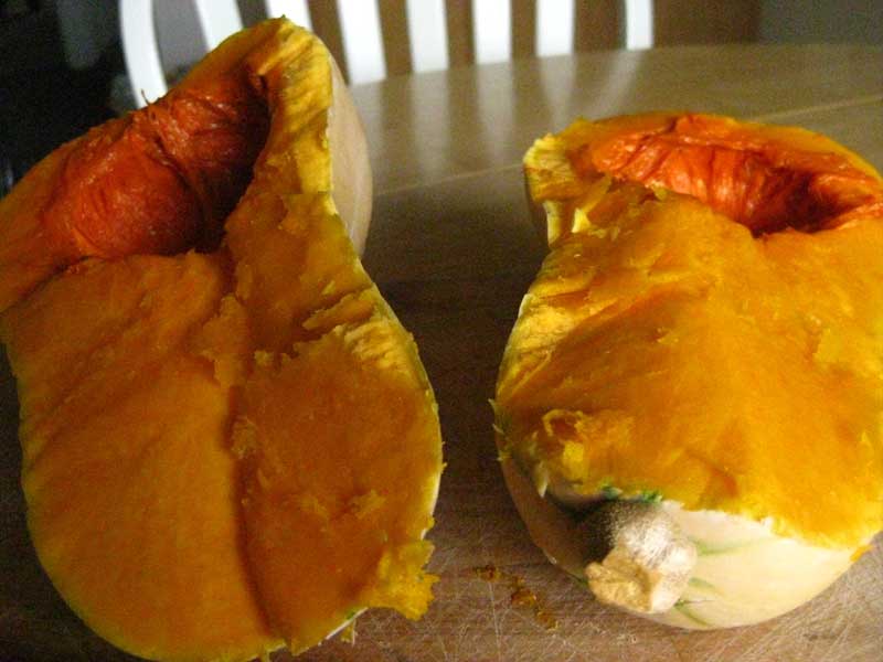 [gnawed-with-teeth.jpg]