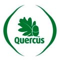 [quercus.bmp]