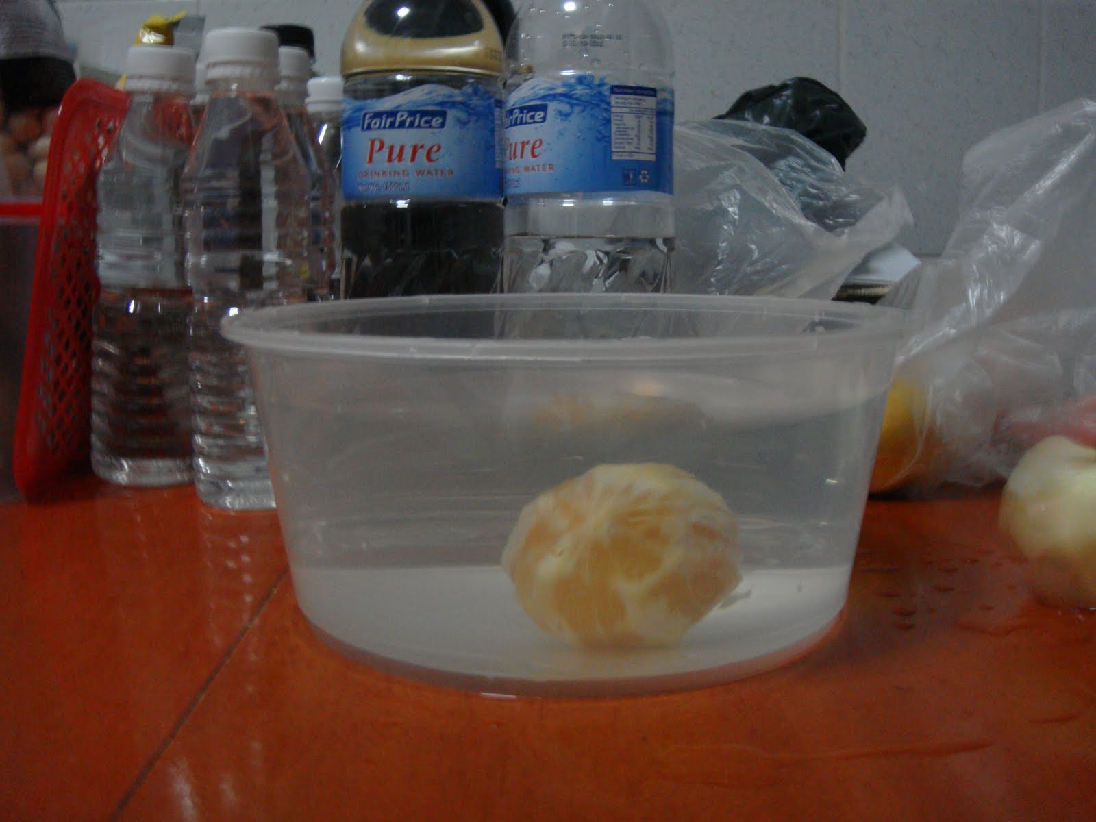 Beverly's Science Bay Fruits Float Experiment