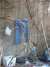 A Home Laundry Facility