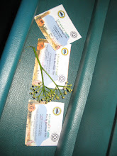 TIKET KE KINABALU PARK