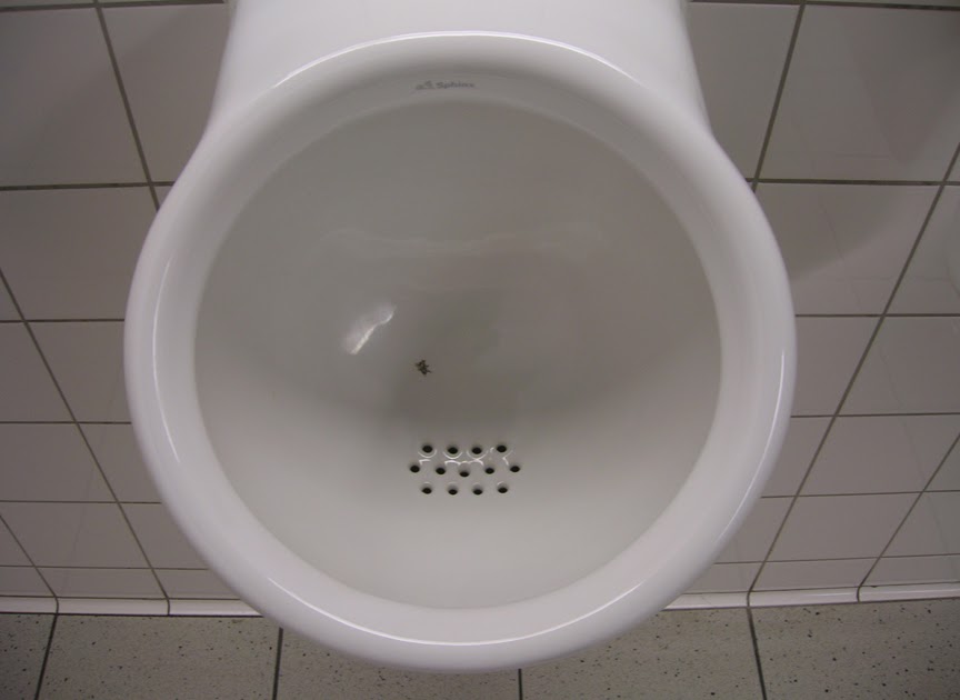 G.O.A The Cultural Exchange Fly In Urinal, Schiphol Airport, Amsterdam