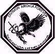 DIVISION MEDICA FOREVER