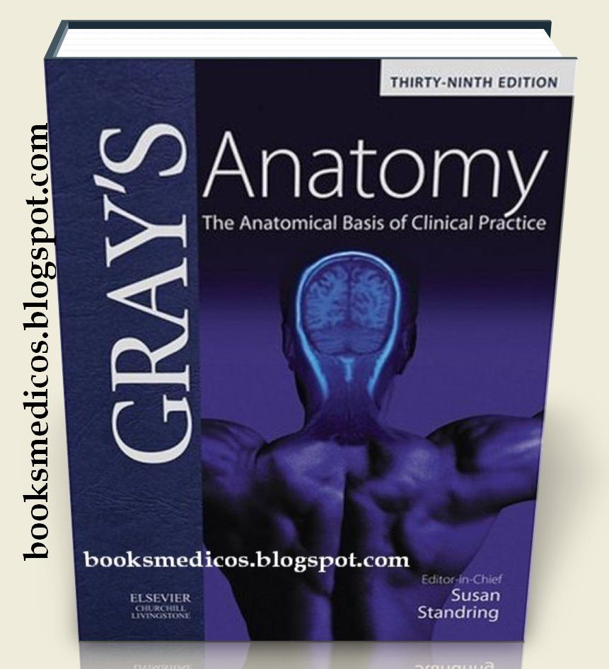 gray's+anatomy+39+1a.jpg