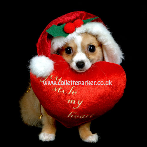 wallpaper christmas wallpaper christmas