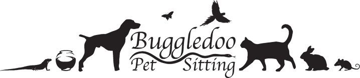Buggledoo Pet Sitting, LLC