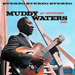 Muddy Waters - Rollin' Stone