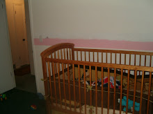 Kaiden Room with ugly pink stripe