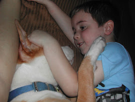 Fun with dogs