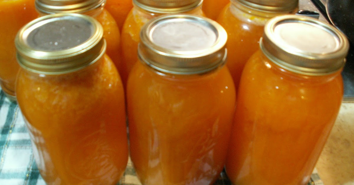 Provident Living in Upper Kittitas County Sugar free Apricot Nectar