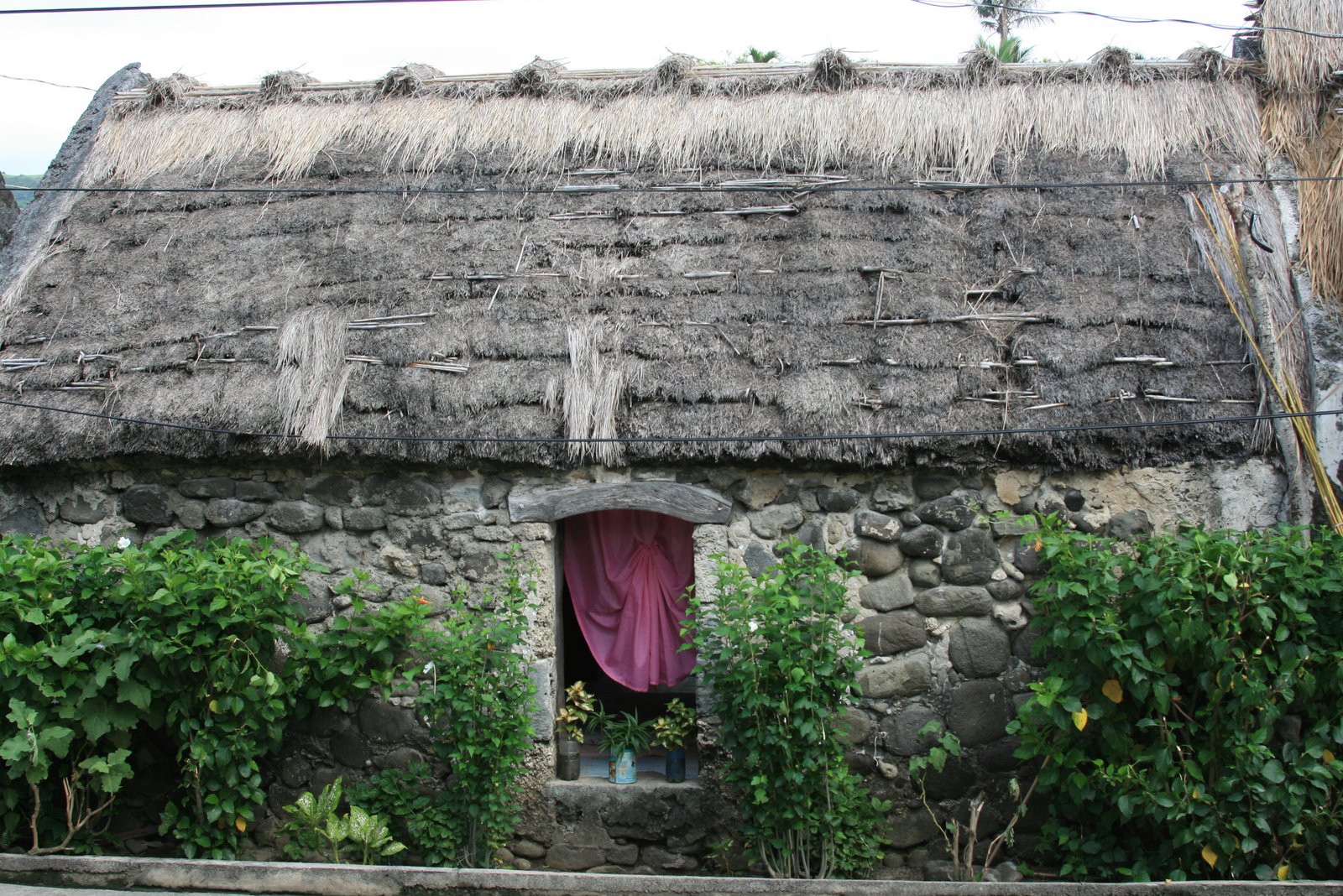 [IMG_1905.JPG]