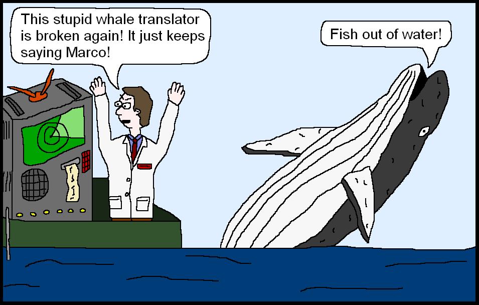 Nate's Cartoons: 8/1/10