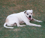 Otis 1997-2008