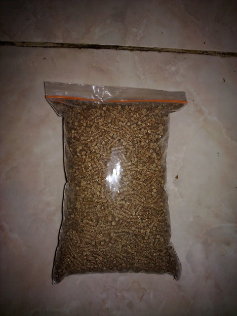 katalog kelinci pelet untuk kelinci rp 8 000 kg katalog kelinci pelet untuk kelinci rp 8 000 kg