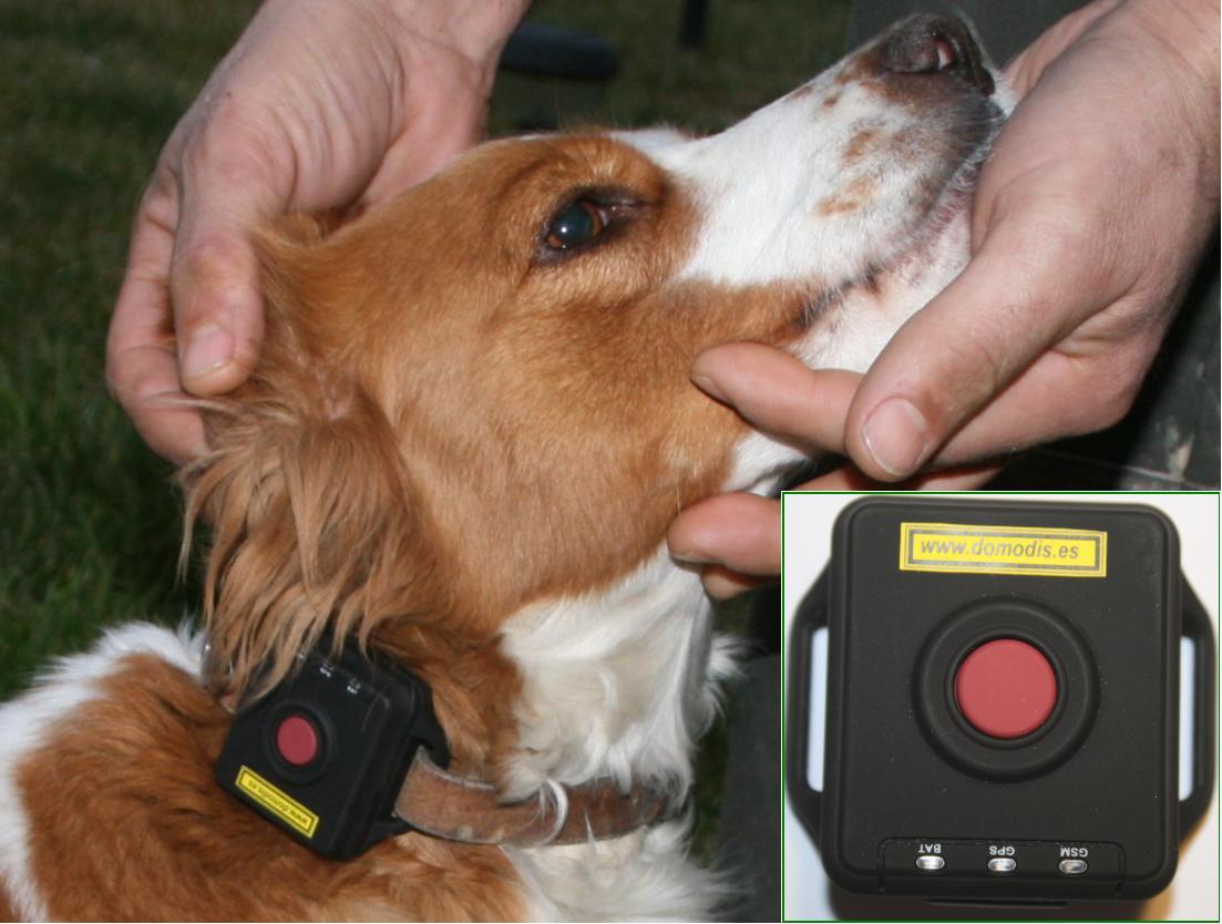 Localizador GPS Localizador GPS para perros