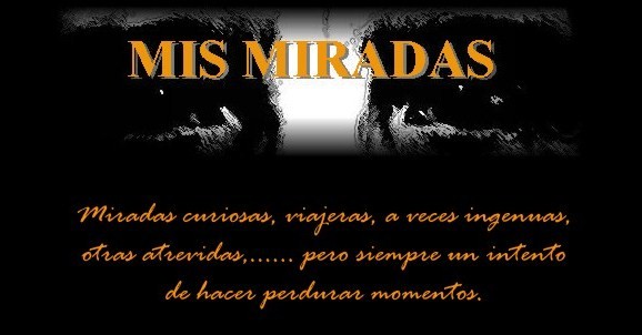 MIS MIRADAS