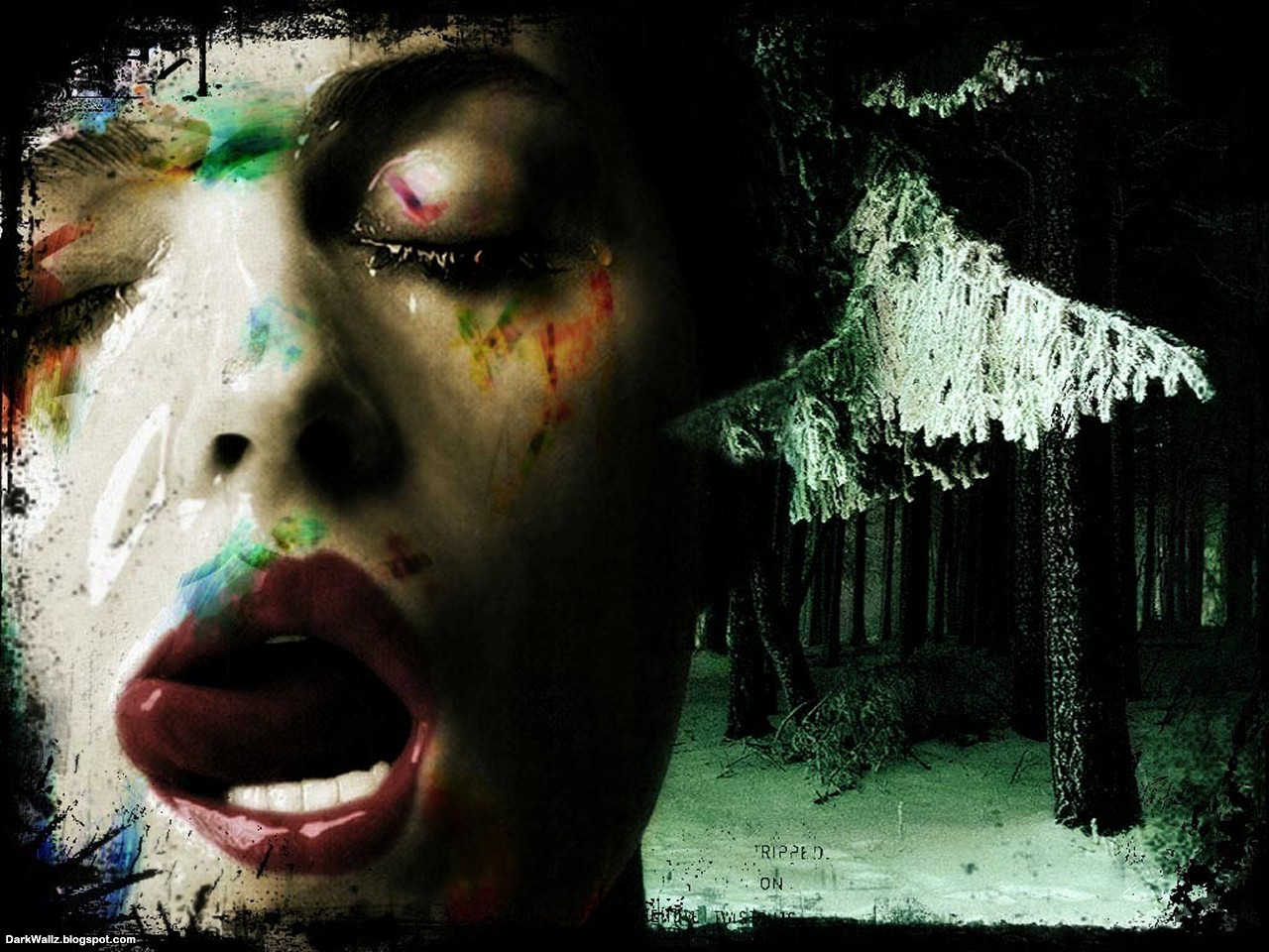 Waooo | Dark Wallpaper Download
