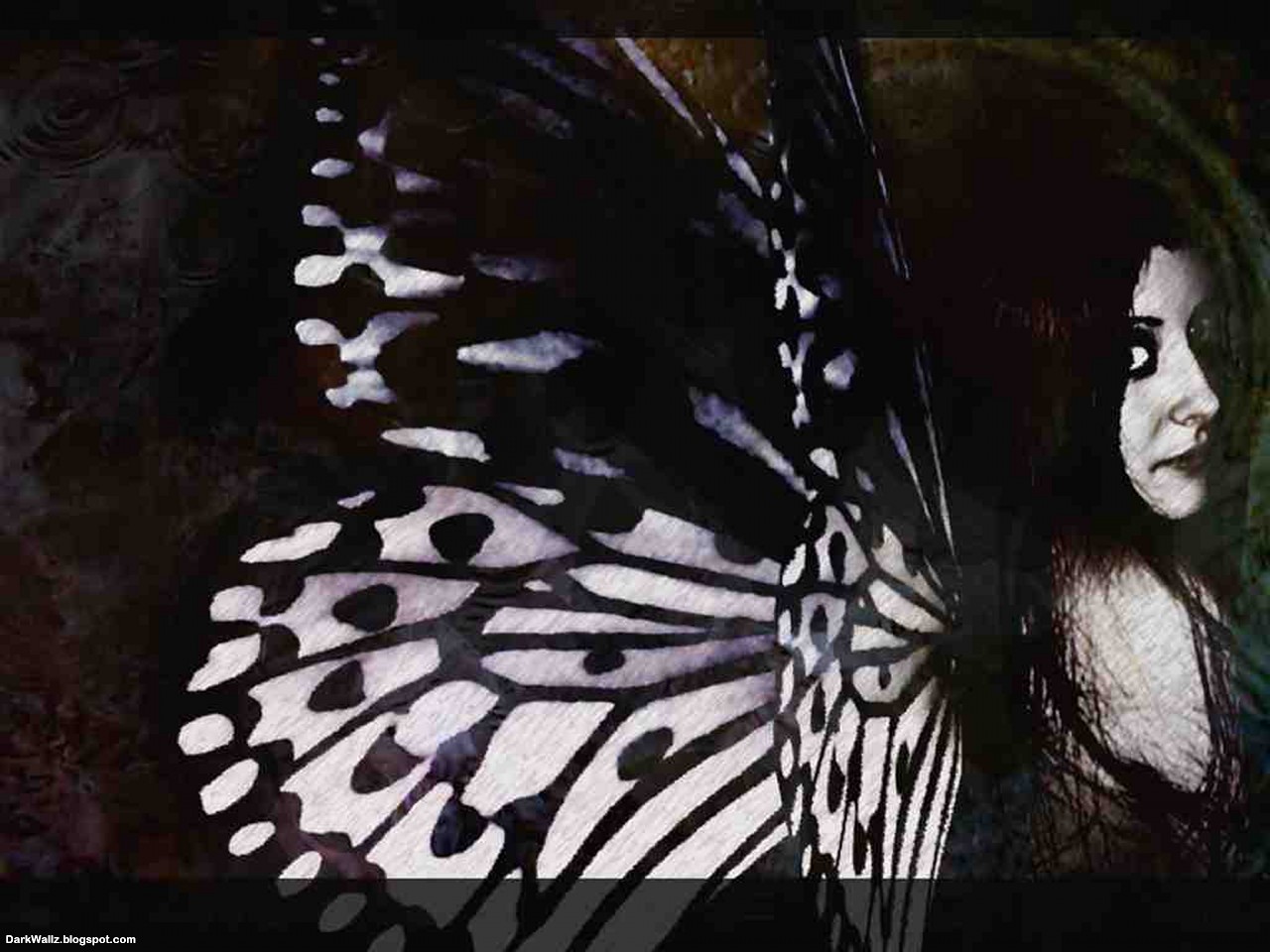 fly away | Dark Wallpaper Download