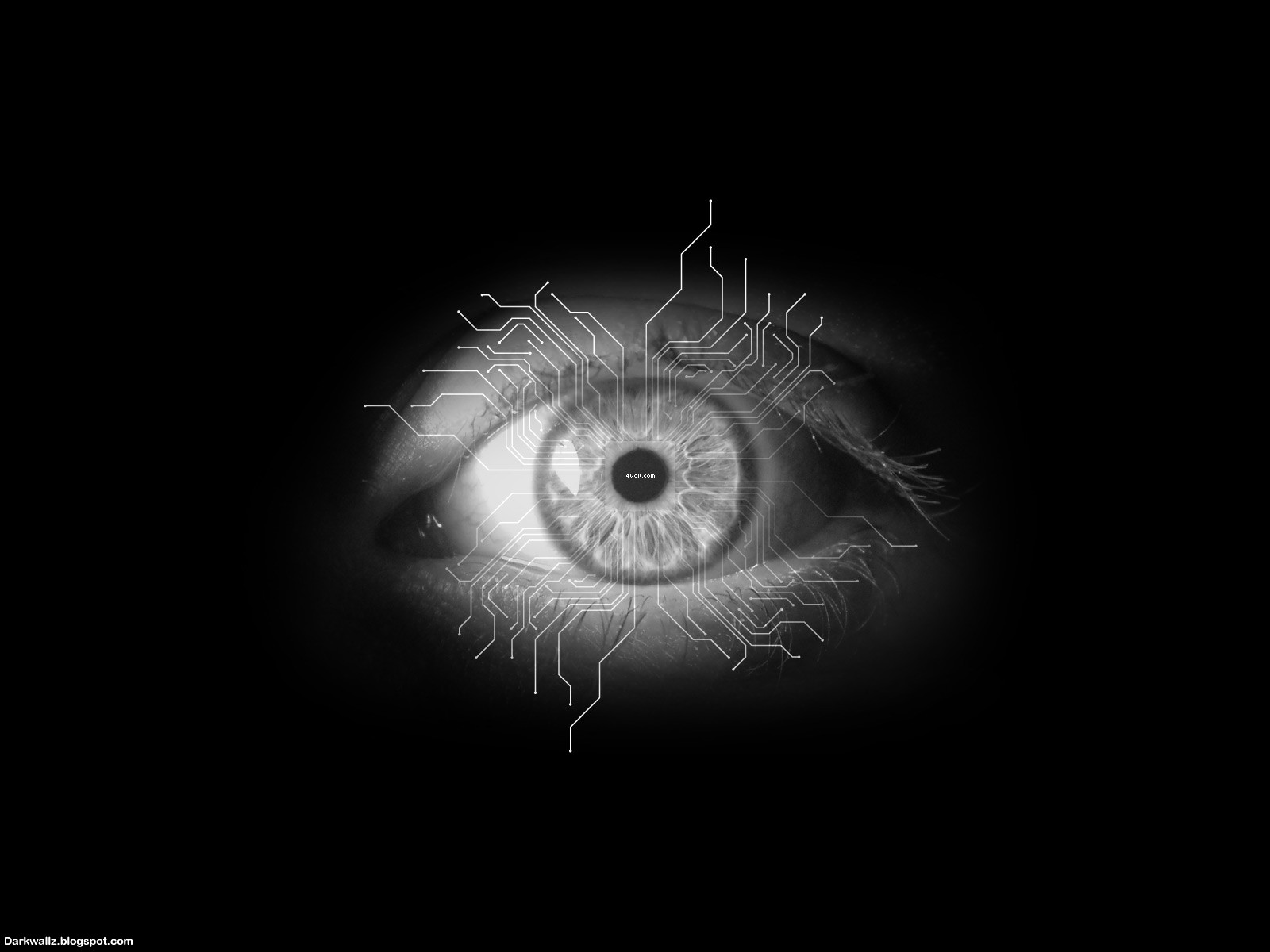 Scary Eyes Wallpapers 59 Dark Wallpapers High Quality Black Gothic