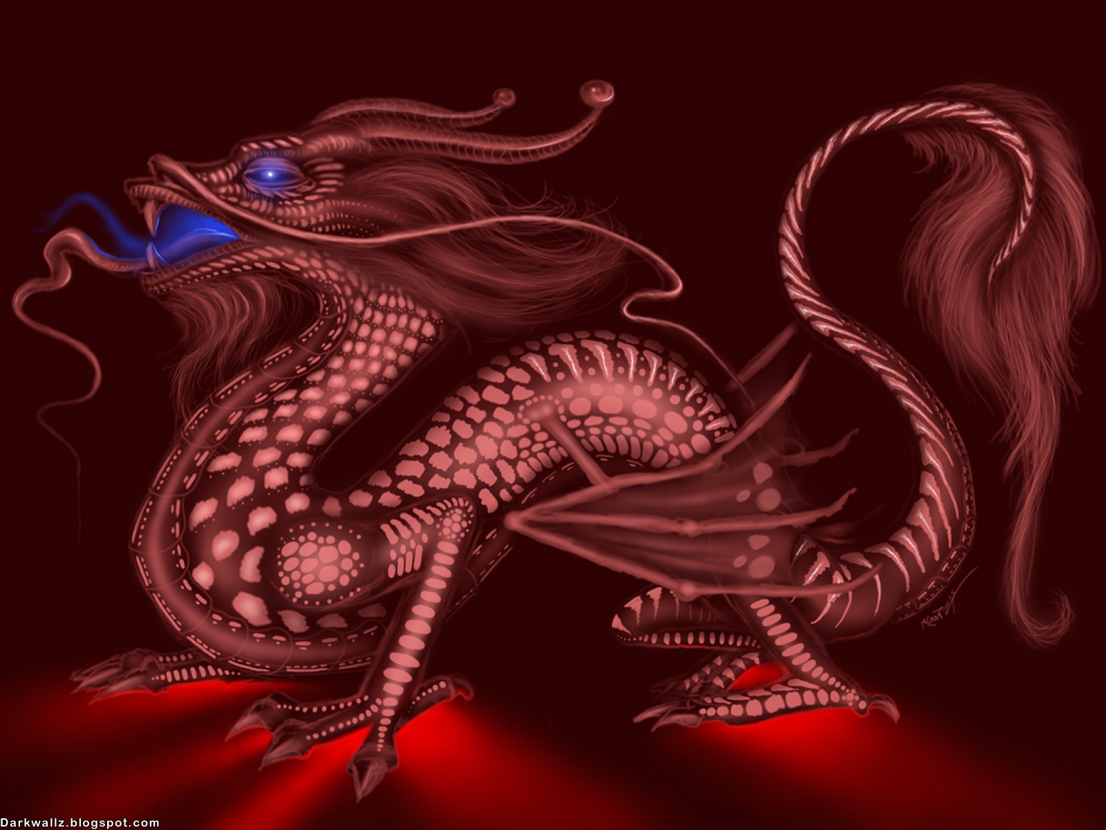 Dark Dragons Wallpapers 77 | Dark Wallpaper Download