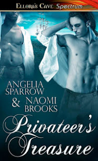 Guest Review: Privateer’s Treasure by Angelia Sparrow and Naomi Brooks