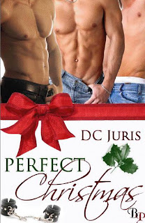 Guest Review: Perfect Christmas by DC Juris