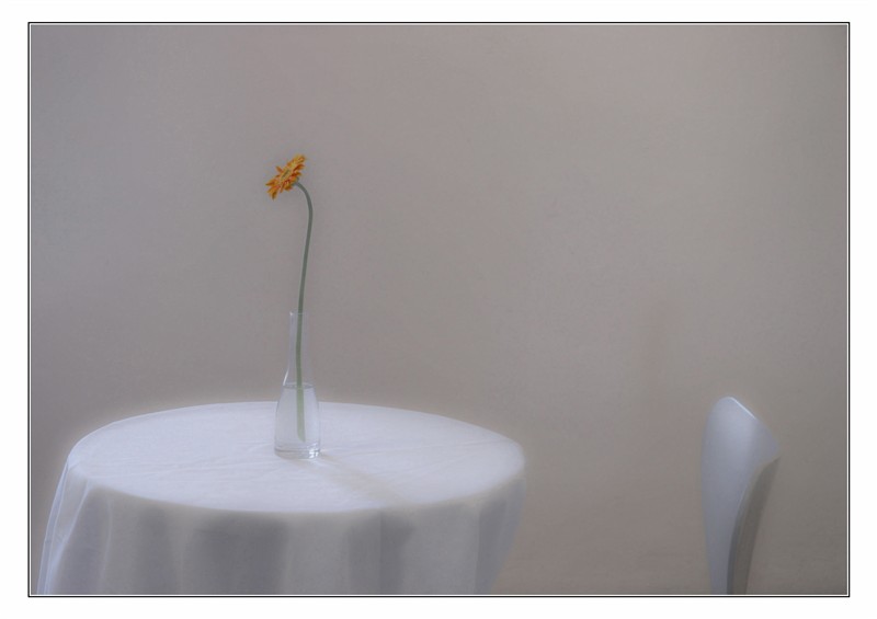 [Flower_on_Table.jpg]