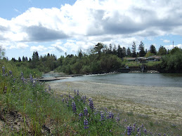 Russian River