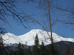 Mt. Shasta
