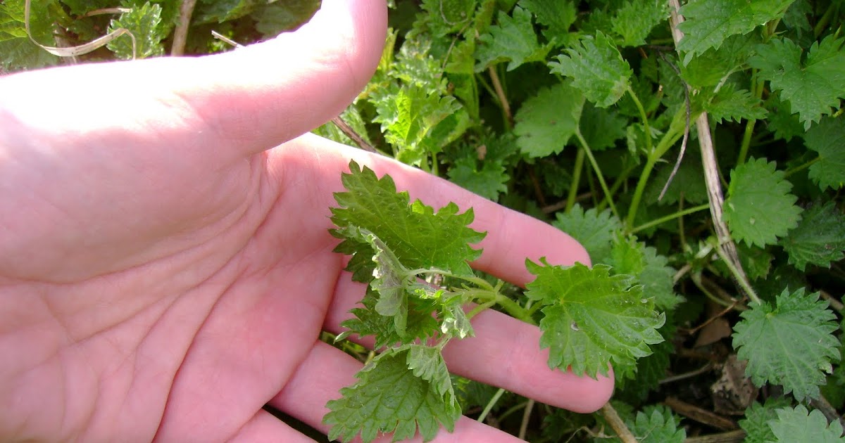 Unstuffed Sting Operation