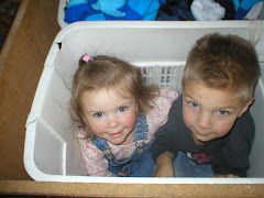 November picture of the month