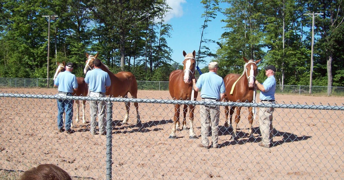 Share the Sault Chippewa County Fair