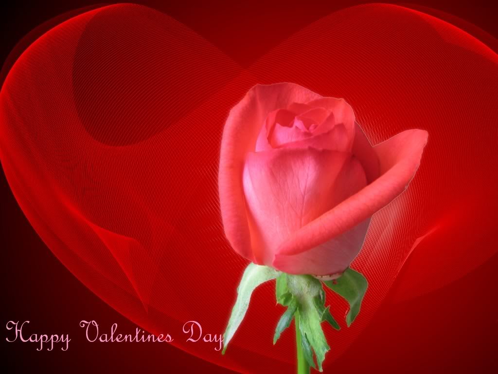 Pictures for Valentines Day: Happy Valentines Day