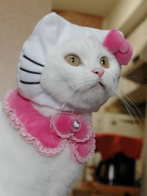 Hello Kitty Costume For Cats. Hello Kitty with lizzard eyes.