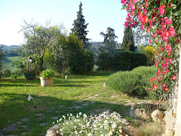 Il giardino