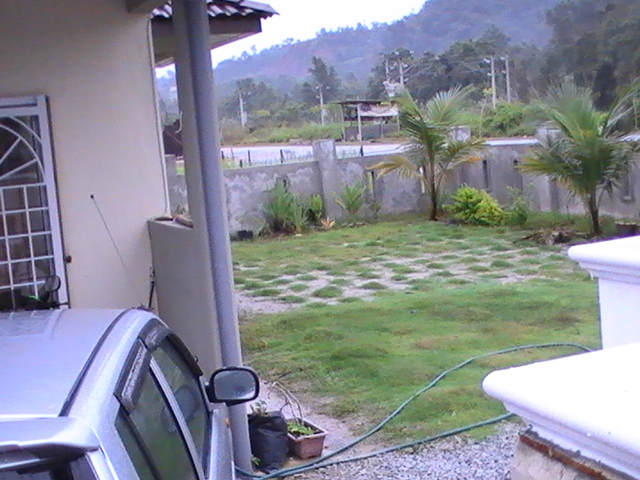 tanam rumput
