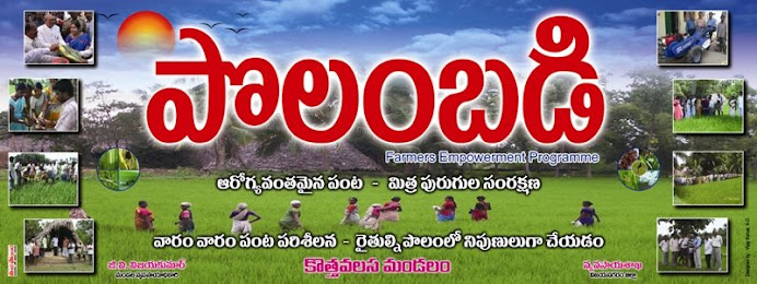 POLAMBADI KOTHAVALASA