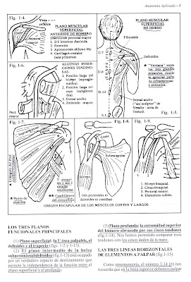 ramos vertiz traumatologia y ortopedia pdf