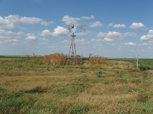 CAMPO "LA CENICIENTA".-