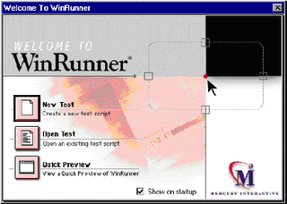 winrunner testing software
