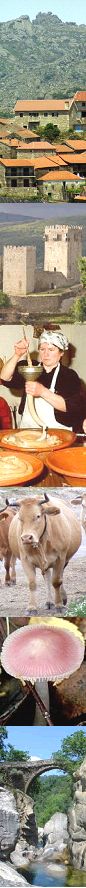 Café Portugal - PASSEIO DE JORNALISTAS  em Montalegre