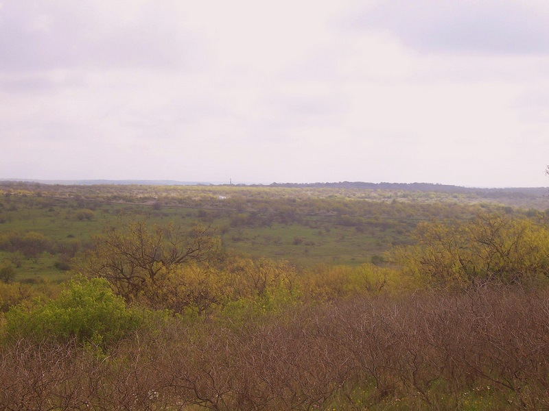 [100_2734-1.JPG]