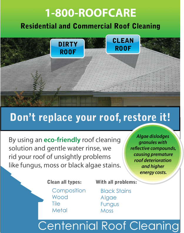 blank slate dirty roof clean it up roof cleaning flyers