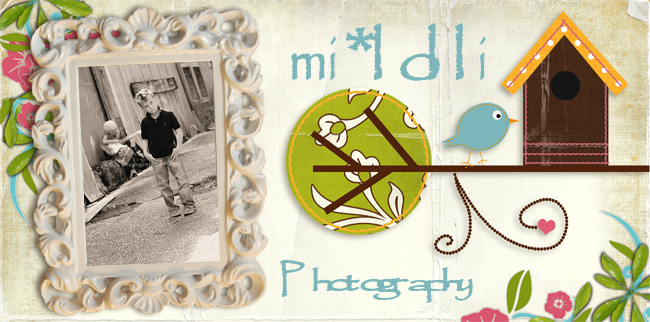 mi*lolli Photography