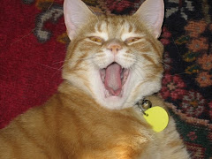 The Yawn