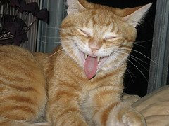 Funny Face