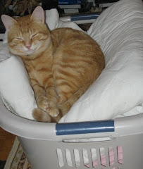 Laundry day