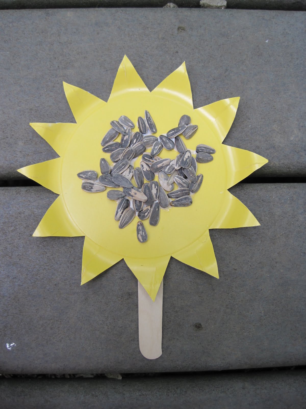 Sunflower Seed Craft