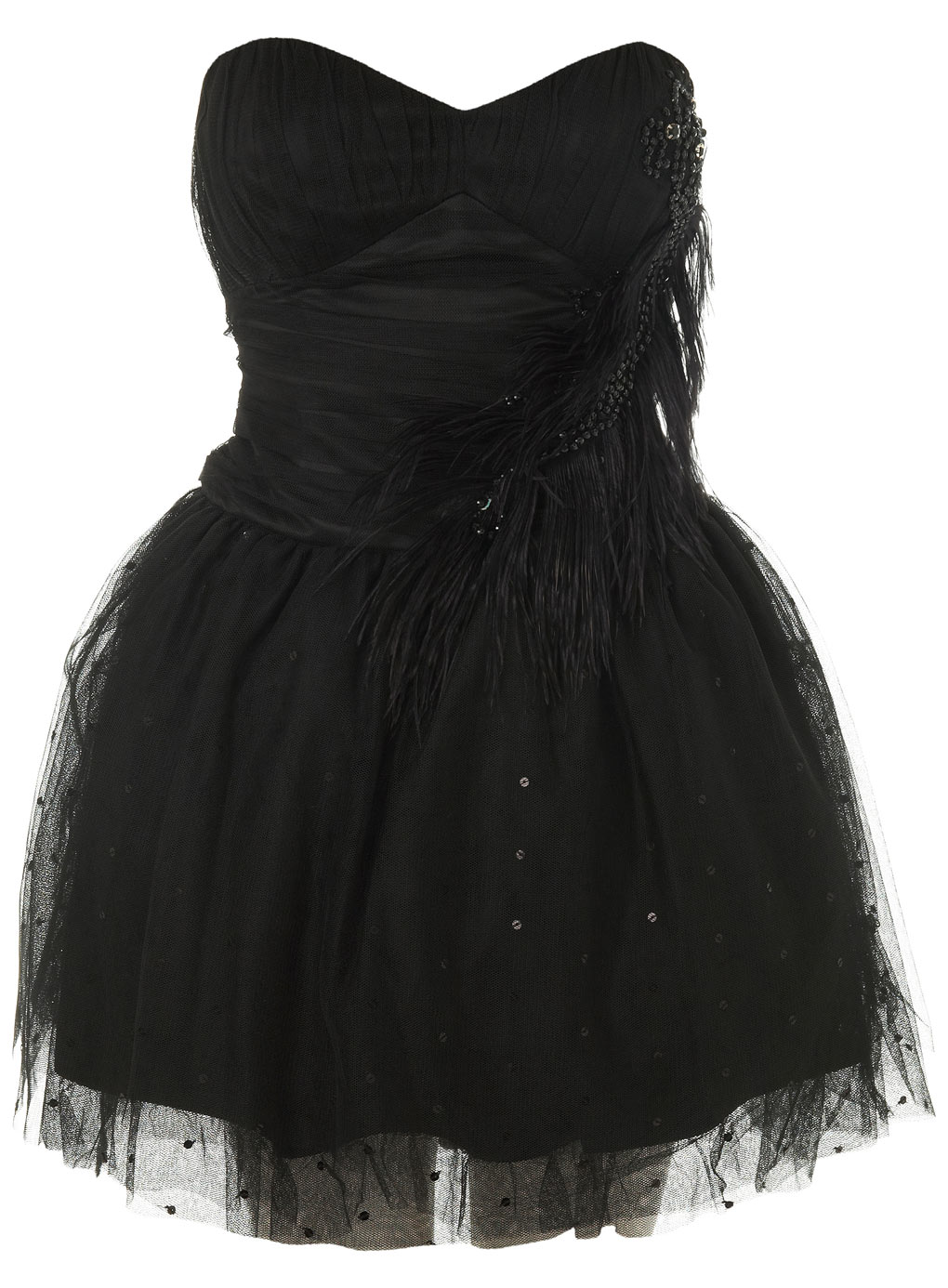 Wearable Trends Black Feather Dress